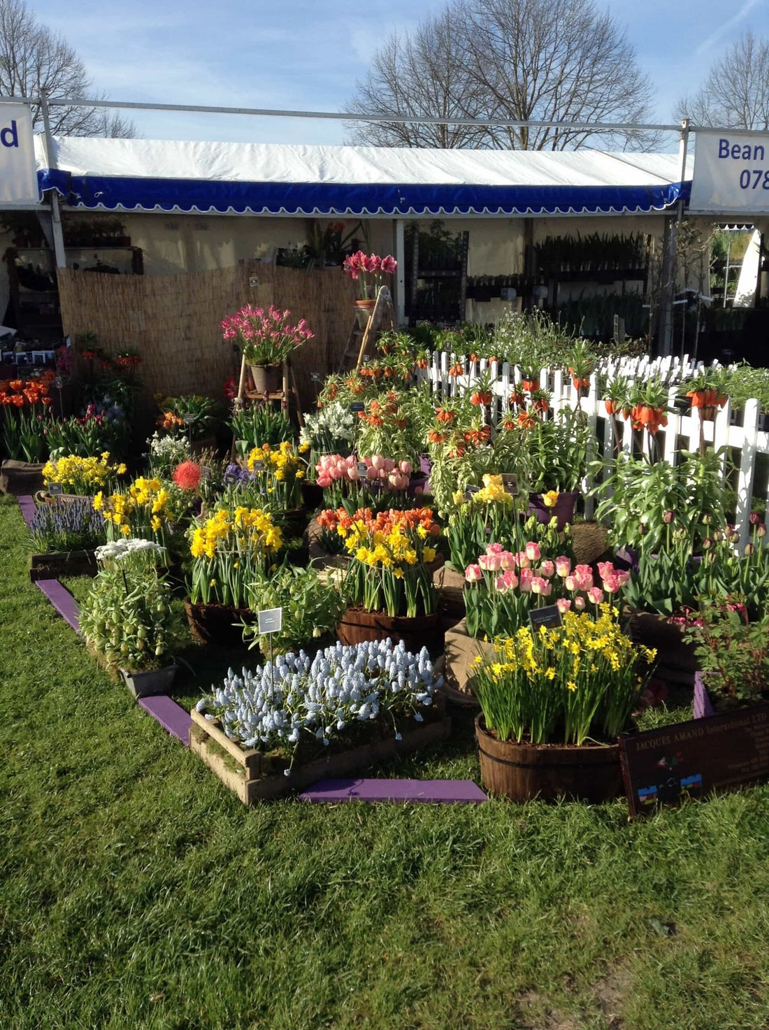 RHS Malvern Spring Festival