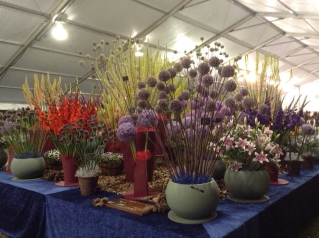 Shrewsbury Flower Show