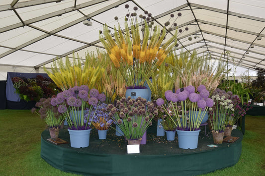 Tatton Park
