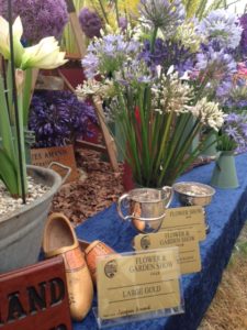 Large Gold,  Best cut flower display and Best in Show for  team JA @NewForestShow
