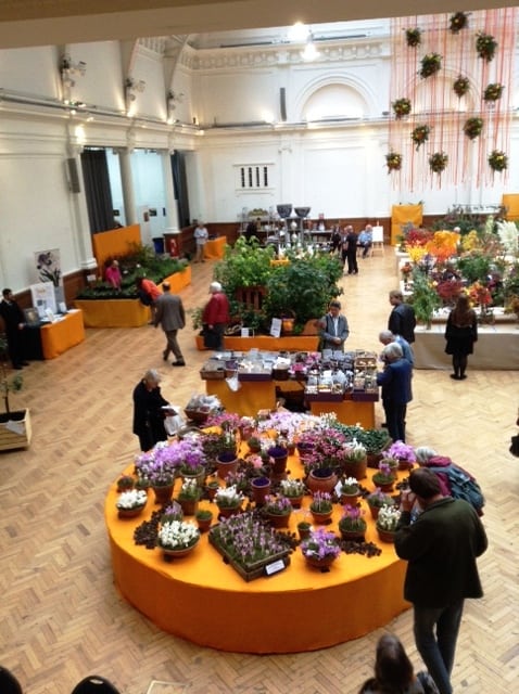 RHS London Shades of Autumn Show