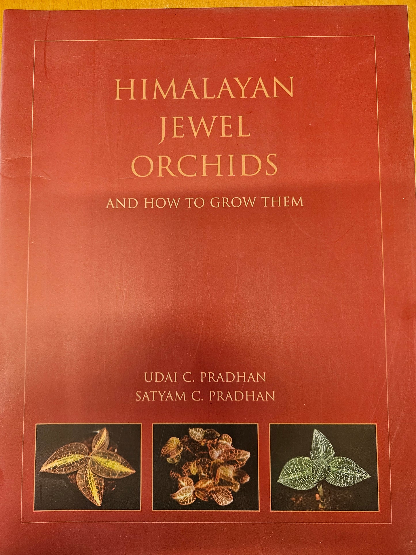 Himalayan Jewel Orchids book by Udai C.Pradhan and Satyam C. Pradhan