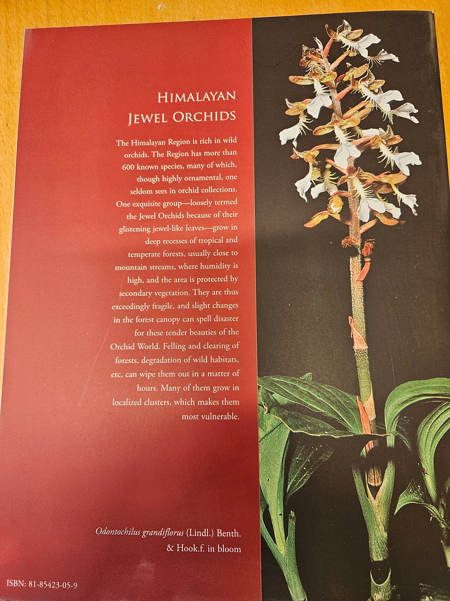 Himalayan Jewel Orchids book by Udai C.Pradhan and Satyam C. Pradhan